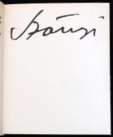 Pataky Dénes: Szőnyi István. Bp., 1971, Corvina. Kiadói egészvászon-kötésben, kiadói papír védőborít...