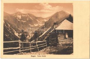 Fogarasi Kárpátok, Fogarascher Karpathen, Muntii Fagarasului; Negoj csúcs, Sarata-völgy, kunyhó / Varful Negoiu, Valea Sarati / mountain peak, valley, cottage. Verlag der Sektion Hermannstadt S.K.V. 1913