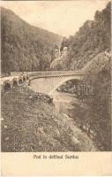 Petrozsény, Petrosani; Híd a Szurduki szorosban / Pod in defileul Surduc / mountain pass, Surduc gorge, bridge. Fotogr. Heiter (EK)