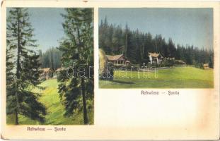 Nagyszeben, Hermannstadt, Sibiu; Őzrét (1340 m), nyaralók / Rehwiese / Santa / Schanta / forest, villas. Chromophot. v. Jos. Drotleff (EK)