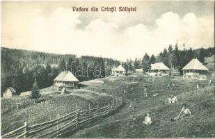 Krinc, Crint (Szelistye, Saliste); Vedere din Crintii Salistei. Editura I. Dadariat fot. / falu, gyerekek / village, children (EK)