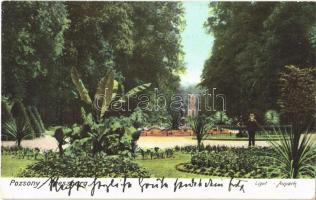 1905 Pozsony, Pressburg, Bratislava; liget. Bediene dich allein / park