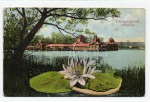 Hévízgyógyfürdő-lótuszvirág