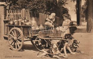 Flamish milk-sellers