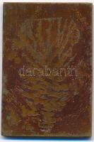 1920. "1920 Kaposvári Turul Sport Egylet" Br emlékérem (26x39mm) T:2