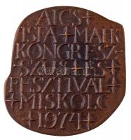 Asszonyi Tamás (1942-) 1974. "AICS (Association for Scientific Cinematography - Tudományos Oper...