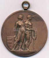 Sződy Szilárd (1878-1939) DN "Budapest Székesfőváros Versenydíja" bronzozott fém díjérem m...