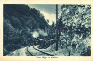1939 Bakonyszentlászló, Cuha-völgyi vasútvonal, vonat, gőzmozdony