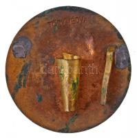 ~1930. "Budapesti Szent István Gimnázium 1902." zománcozott Br jelvény, hátlapon "TÖR...