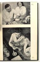 Richter Gedeon Vegyészeti Gyár Rt. 1901-1941. 
Bp., 1942, Richter Gedeon Vegyészeti Gyár Rt., Posne...