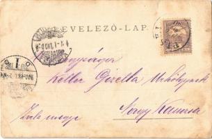 1900 Igló, Zipser Neudorf, Spisská Nová Ves; katonák csoportképe fegyvergyakorlaton / soldiers at th...