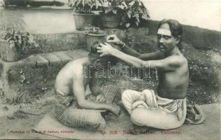 Sri Lankan barber (Rb)