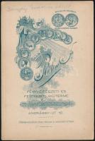 cca 1900 Gyerekek keményhátú fotója, Plohn J. hódmezővásárhelyi műterméből, 16x10 cm