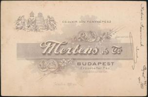 1901 Hölgy keményhátú fotója, Mertens és Társa budapesti műterméből, 16x10,5 cm