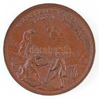 Matthias Donner (1704-1756) A Selmecbányai Bányászati Akadémia bányamérési tanulmány jutalomérmének ...