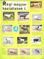 cca 1970-1990 11 db plakát, főként természetvédelmi témában, különböző méretben