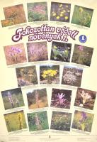 cca 1970-1990 11 db plakát, főként természetvédelmi témában, különböző méretben