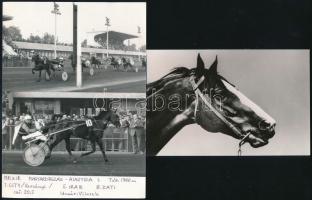 3 db versenylovakról, lóversenyeken készült fotó (Imperiál, City), 9×15 és 18×13 cm