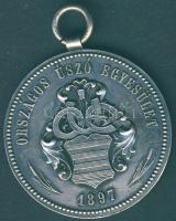 1897. "Országos Úszó Egyesület" Ag díjérem 16g T:2
