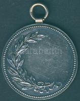 1897. "Országos Úszó Egyesület" Ag díjérem 16g T:2