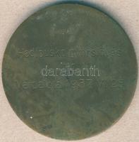 1937. "Hadipuska gyorslövés" Br katonai lövészérem. Szign.Pincés T:2