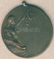 1941. "M.P.S.E." Br díjérem T:2