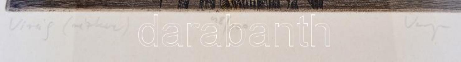 Varga Bencsik József (1944): Virág. Rézkarc, papír, jelzett. 39x23 cm Üvegezett keretben