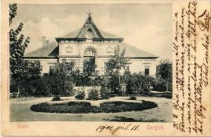 1901 Cegléd, Vigadó. Kiadó Piros J.