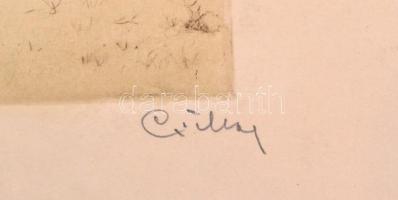 Csillag József (1894-1977): Nyíres. Színezett rézkarc.  24 x 18 cm