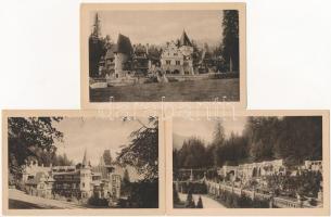 Sinaia, Castel Peles / castle - 6 pre-1945 unused postcards