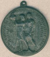 1944. "Magyar Egyetemi és Főiskolai Sportegyletek Orsz. Központja" fém díjérem. Szign.Sződy T:2