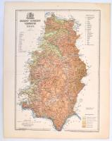 1893 Krassó-Szörény vármegye térképe, tervezte: Gönczy Pál, Pallas Nagy Lexikona, Bp., Posner, 29x23 cm