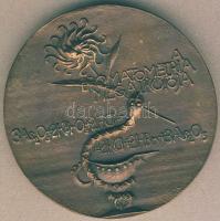 Cca 1950-es évek DN "Dr.György István-A bromatometria megalkotója" nagyalakú Br emlékplake...