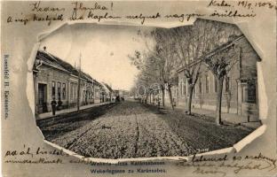 1903 Karánsebes, Caransebes; Wekerle utca. Rosenfeld H. kiadása / Wekerlegasse / street view