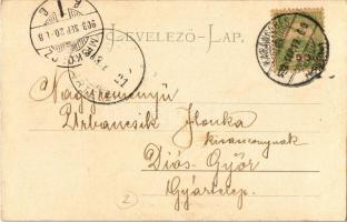 1903 Karánsebes, Caransebes; Wekerle utca. Rosenfeld H. kiadása / Wekerlegasse / street view