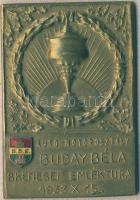 1933. "Buday Béla Bkenesei emléktúra" zománcos Br emlékplakett T:2