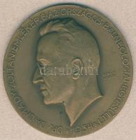 1934. "Dr. Dalmady Zoltán-Országos Balneológiai Egyesület" nagylakú Br emlékplakett. Szign.Berán Lajos T:2