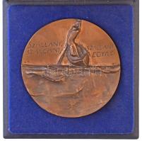 Gáti Gábor (1937- ) 1977. "Ady 1877-1919 / 'Szállani, Szállani, Szállani Egyre" Br pl...