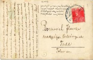 1919 Egy kényszerleszállást végrehajtó repülőgép javítása Kosdon, a helyiek nagy számban megjelentek...