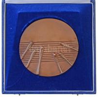 Janzer Frigyes (1939-) 1986. "Első Országos Rácz Aladár Cimbalom Verseny" Br plakett tokba...