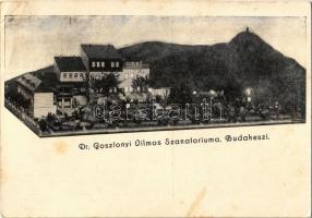 1935 Budakeszi, Dr. Gosztonyi Vilmos szanatóriuma, reklámlap (fa)