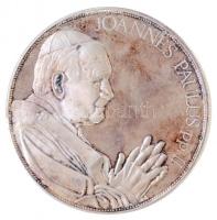 Fülöp Zoltán (1951-) 1991. Őszentsége II. János Pál pápa magyarországi látogatása emlékére Ag emlékérem sérült dísztokban (157,66g/0.999/65mm) T:1- (PP) patina