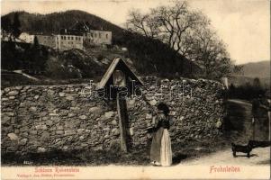 1913 Frohnleiten, Schloss Rabenstein. Verlag v. Jos. Höfler / castle