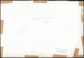 1961 Szöllősy Kálmán (1887-1976): Tiszai halász, feliratozott fotóművészeti alkotás, pecséttel jelze...