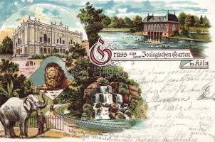 Köln Zoo Litho