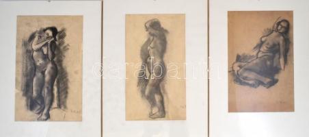 9 db akt tanulmány rajz. Ceruza, papír, Jelzés nélkül, üveg keretben. 20x30 cm