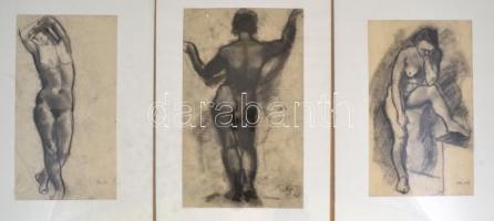 9 db akt tanulmány rajz. Ceruza, papír, Jelzés nélkül, üveg keretben. 20x30 cm
