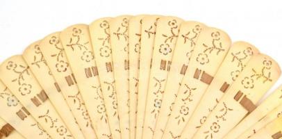 Szaru lapokból álló legyező áttört mintával 14 cm