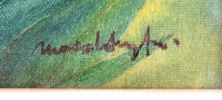 Macskássy Izolda (1945- ): Két arc. vegyes technika, selyempapír, jelzett, keretben. 14,5-14,5 cm