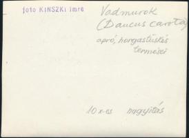 cca 1934 Kinszki Imre (1901-1945) budapesti fotóművész hagyatékából, pecséttel jelzett, vintage fotó...